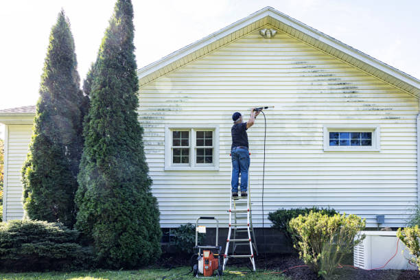 Best Affordable Power Washing  in Piketon, OH