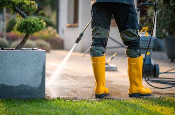 Best Power Washing Near Me  in Piketon, OH